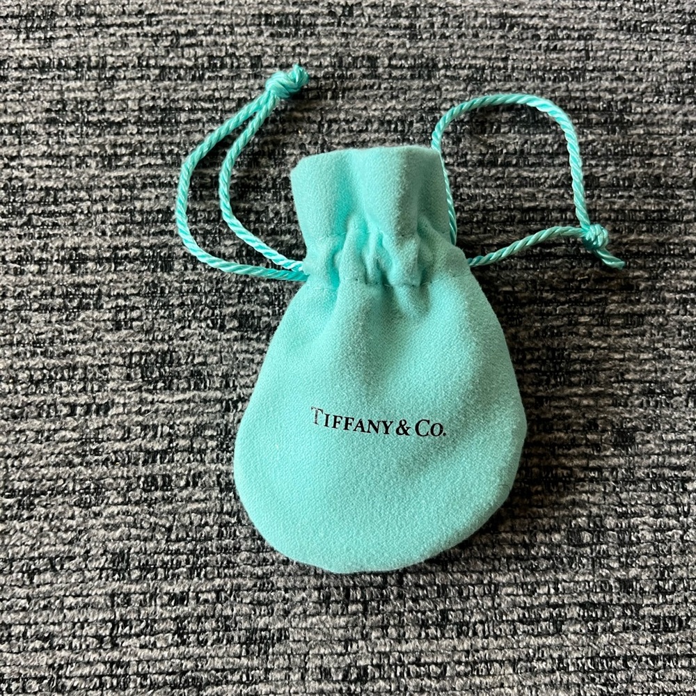 Tiffany & Co Earrings View 2